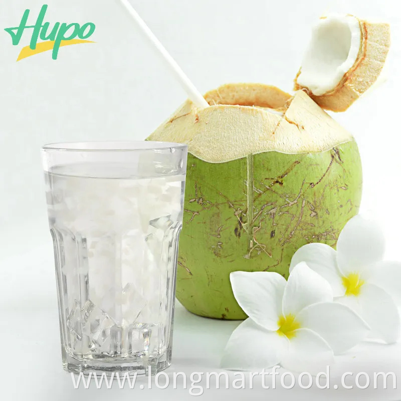 Refreshing Coconut Milk Drink Original Flavor with Nata De Coco China Beverage Drink